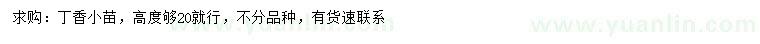 求購(gòu)高20公分丁香小苗