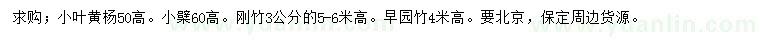 求購小葉黃楊、小檗、剛竹等