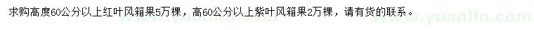 求購高度60公分以上紅葉風(fēng)箱果、紫葉風(fēng)箱果