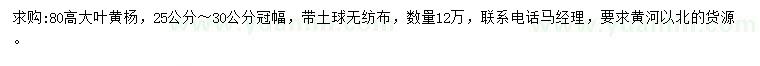 求購(gòu)高80公分大葉黃楊
