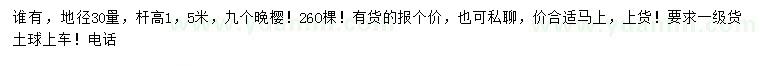求購地徑30量9公分晚櫻