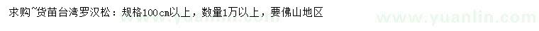求購100公分以上臺(tái)灣羅漢松