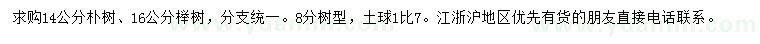 求購14公分樸樹、16公分櫸樹
