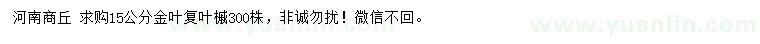 求購15公分金葉復(fù)葉槭
