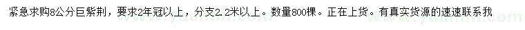 求購8公分巨紫荊
