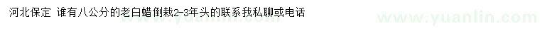 求購8公分老白蠟