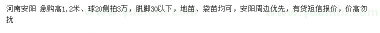 求購(gòu)高1.2米側(cè)柏