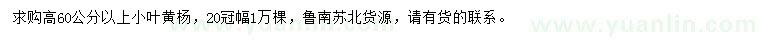 求購高60公分以上小葉黃楊