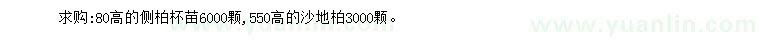 求購(gòu)高80公分側(cè)柏、550公分沙地柏