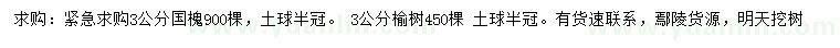 求購3公分國槐、榆樹