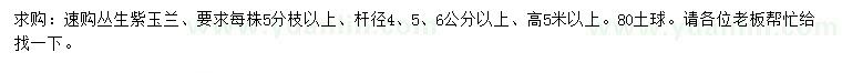 求購高5米以上叢生紫玉蘭