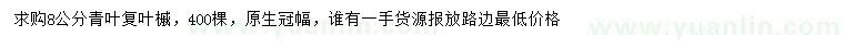 求購8公分青復葉槭