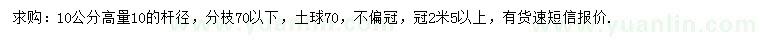 求購高10公分紅葉石楠