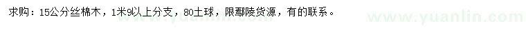求購15公分絲棉木