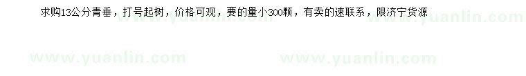 求購13公分青垂