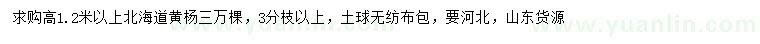 求購高1.2米以上北海道黃楊