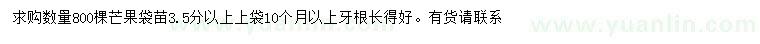 求購芒果袋苗