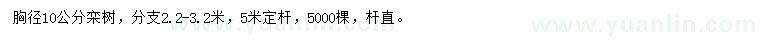求購胸徑10公分欒樹