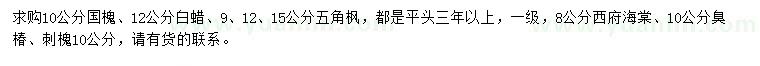 求購國槐、白蠟、五角楓等