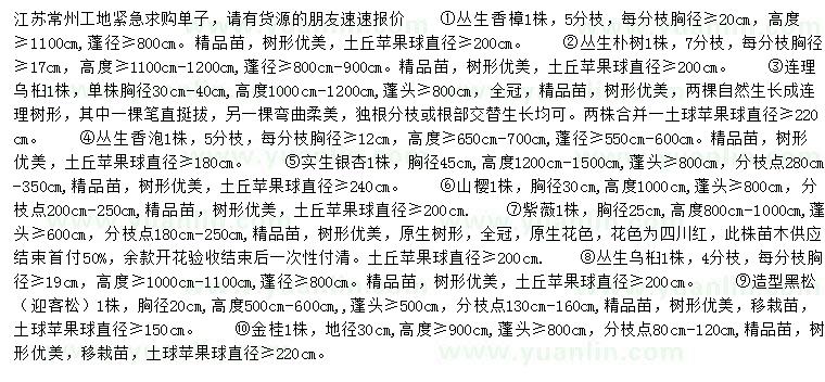 求購叢生香樟、叢生樸樹、連理烏桕等