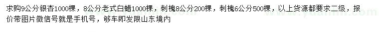 求購銀杏、老式白蠟、刺槐