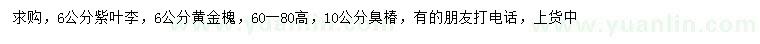 求購紫葉李、黃金槐、臭椿