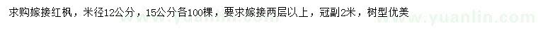 求購(gòu)米徑12、15公分嫁接紅楓