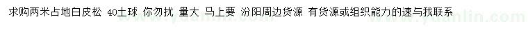 求購2米占地白皮松