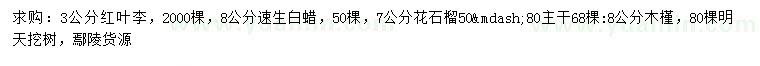 求購紅葉李、速生白蠟、花石榴等
