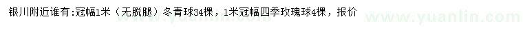 求購(gòu)冠幅1米冬青球、四季玫瑰