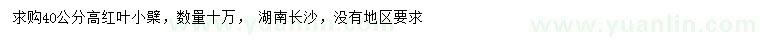 求購(gòu)高40公分紅葉小檗