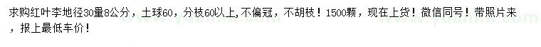 求購地徑30量8公分紅葉李