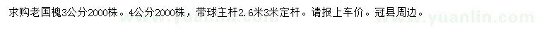 求購3、4公分老國槐