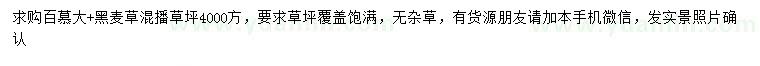 求購(gòu)百慕大、黑麥草混播草坪