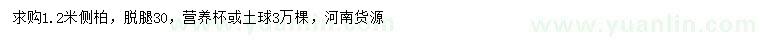 求購1.2米側(cè)柏