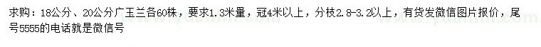 求購(gòu)1.3米量18、20公分廣玉蘭