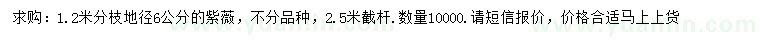 求購6公分紫薇