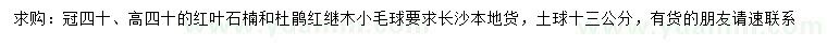 求購高40公分紅葉石楠、杜鵑紅繼木小毛球