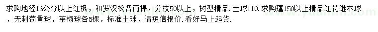 求購(gòu)紅楓、羅漢松、紅花繼木球等