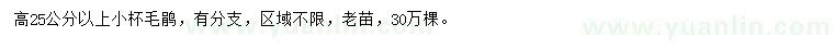 求購高25公分以上毛鵑