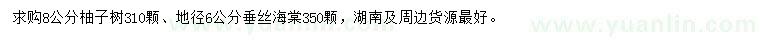 求購8公分柚子樹、地徑6公分垂絲海棠