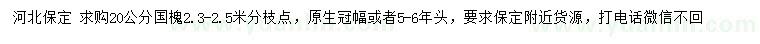 求購20公分國槐