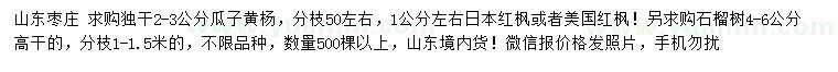 求購瓜子黃楊、日本紅楓、美國紅楓等