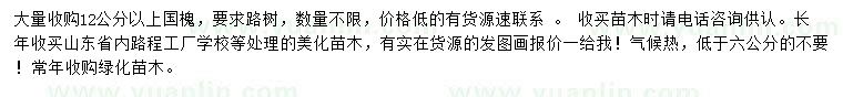 求購12公分以上國槐