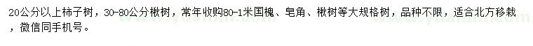 求購(gòu)20公分以上柿子樹(shù)，30-80公分楸樹(shù)
