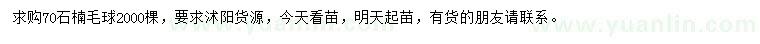 求購70公分石楠毛球