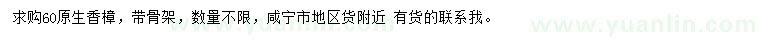 求購60公分原生香樟