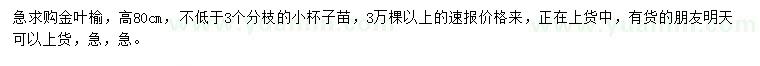 求購(gòu)高80公分金葉榆