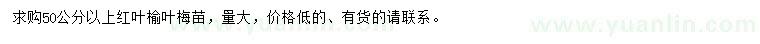 求購50公分以上紅葉榆葉梅