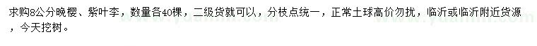 求購8公分晚櫻、紫葉李